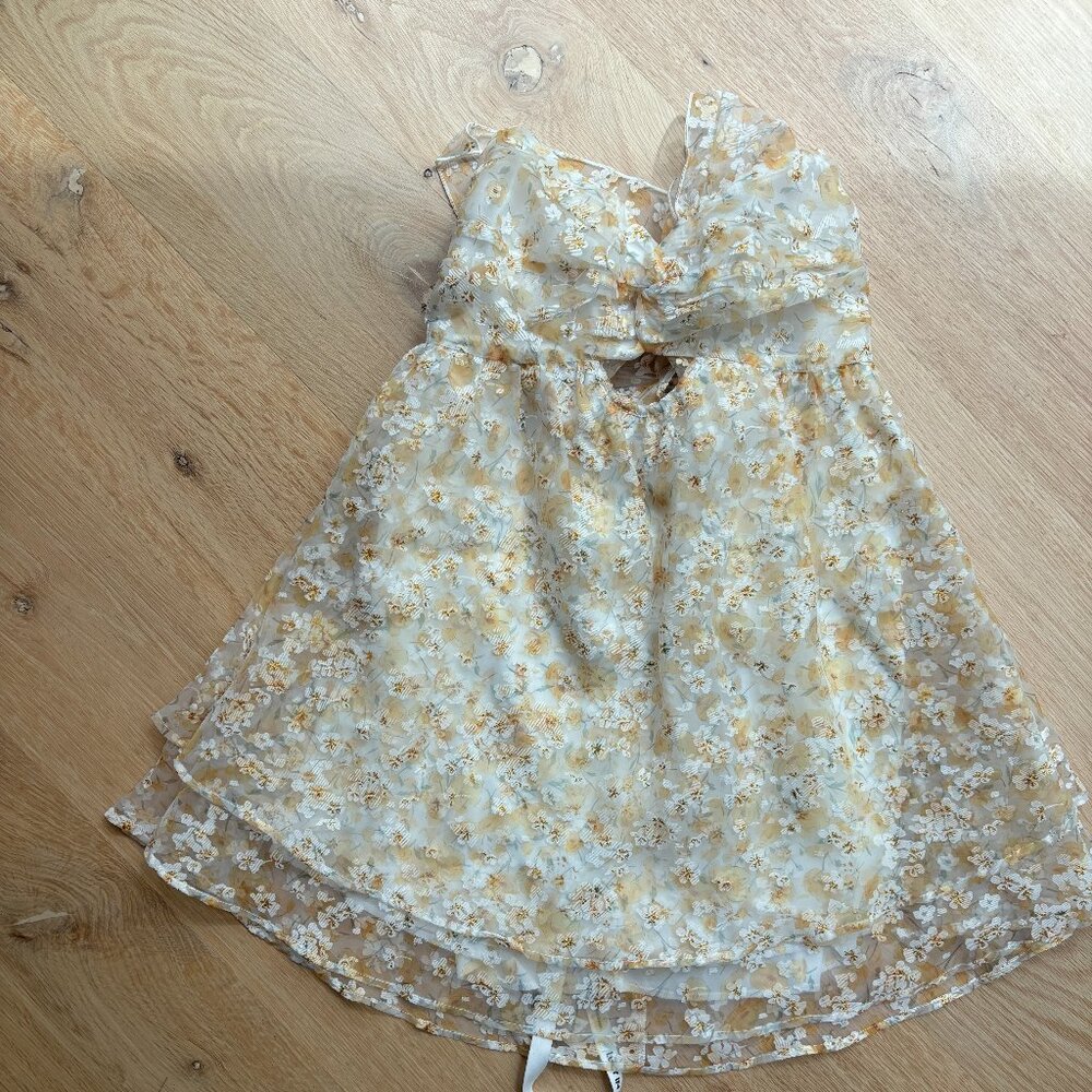 Lucy in the Sky Floral Shimmer Cutout BabyDoll Dress